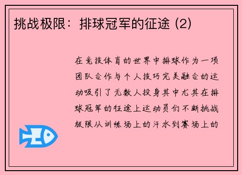 挑战极限：排球冠军的征途 (2)