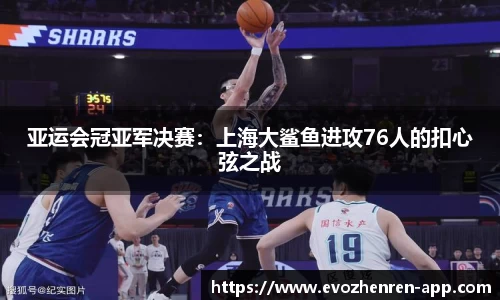 EVO真人视讯官网